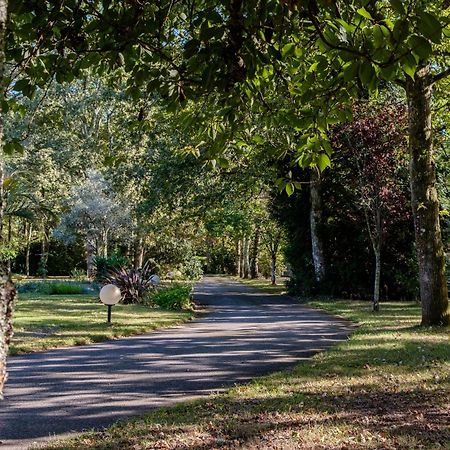 Parc De L'Aiguade Bed & Breakfast Saint-Paul-les-Dax Ngoại thất bức ảnh
