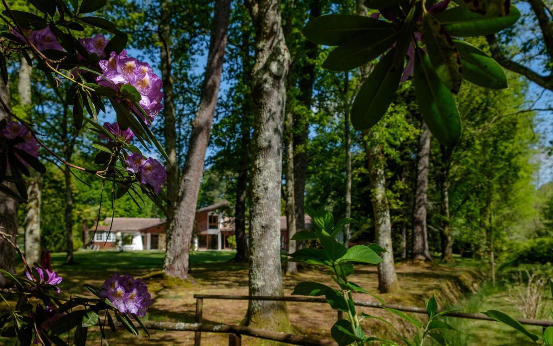 Parc De L'Aiguade Bed & Breakfast Saint-Paul-les-Dax Ngoại thất bức ảnh