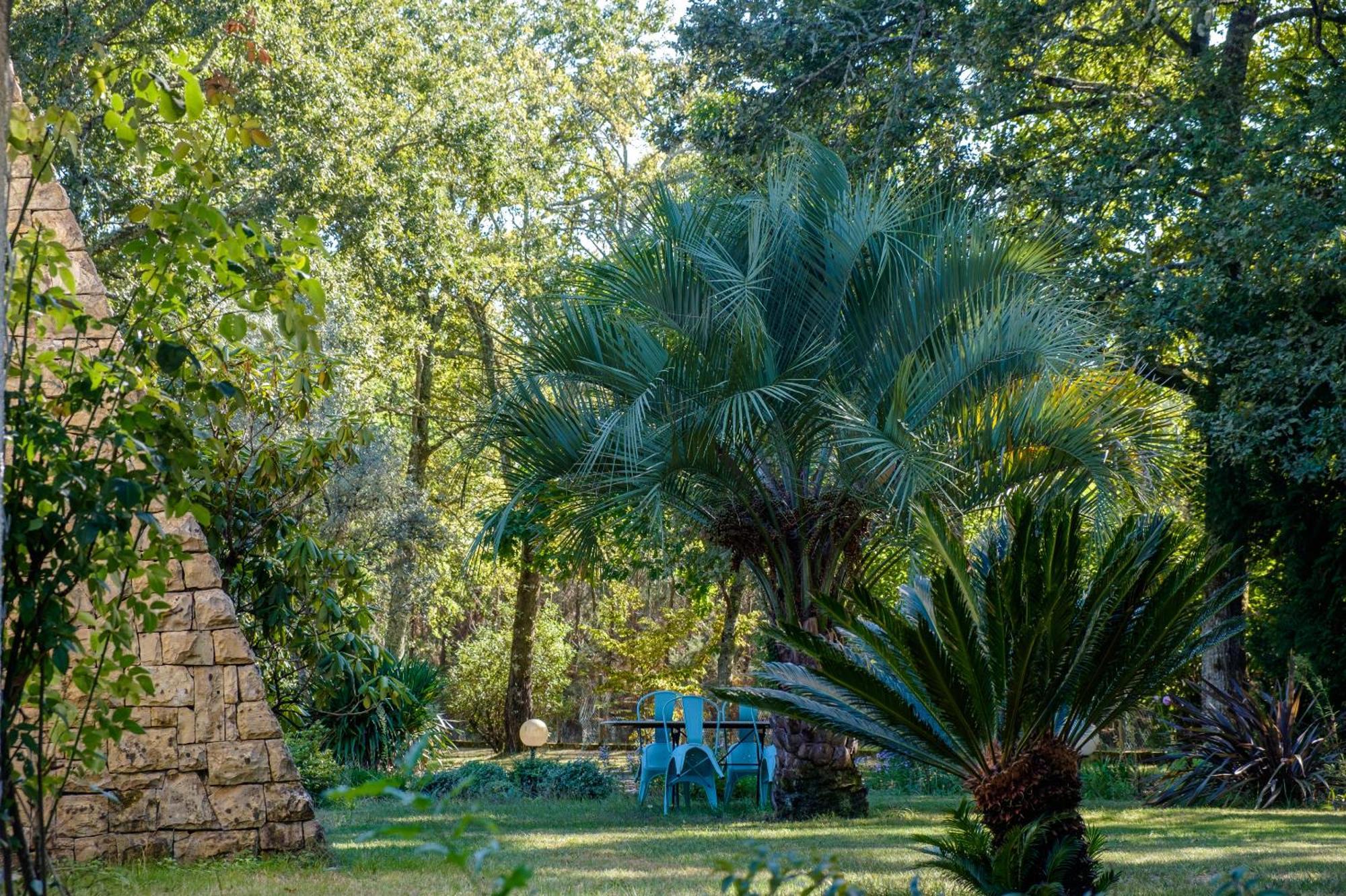 Parc De L'Aiguade Bed & Breakfast Saint-Paul-les-Dax Ngoại thất bức ảnh